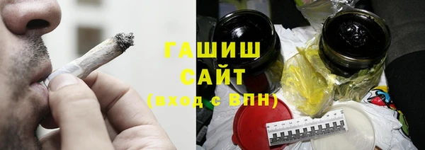 крисы Новозыбков