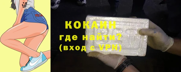 крисы Новозыбков