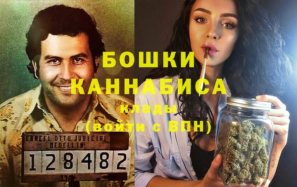 крисы Новозыбков