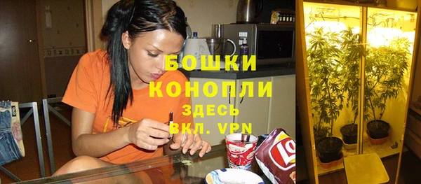 экстази Новодвинск