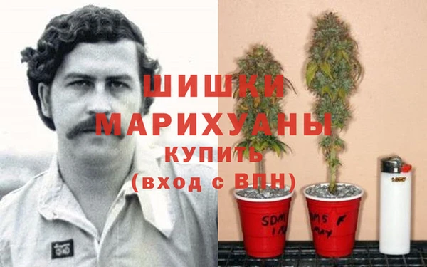 каннабис Новокубанск