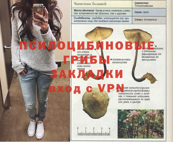 крисы Новозыбков