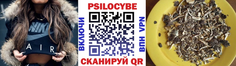 площадка официальный сайт  Богучар  MEGA ТОР  Псилоцибиновые грибы Psilocybe  закладка 